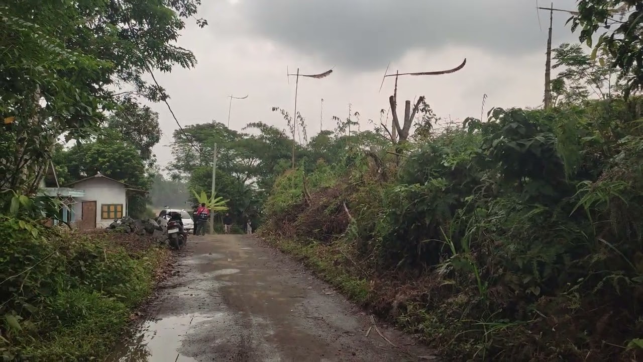 Jual tanah kebun luas 8370 meter ² surat SHM harga 650 jt #tanahmurahdibogor 