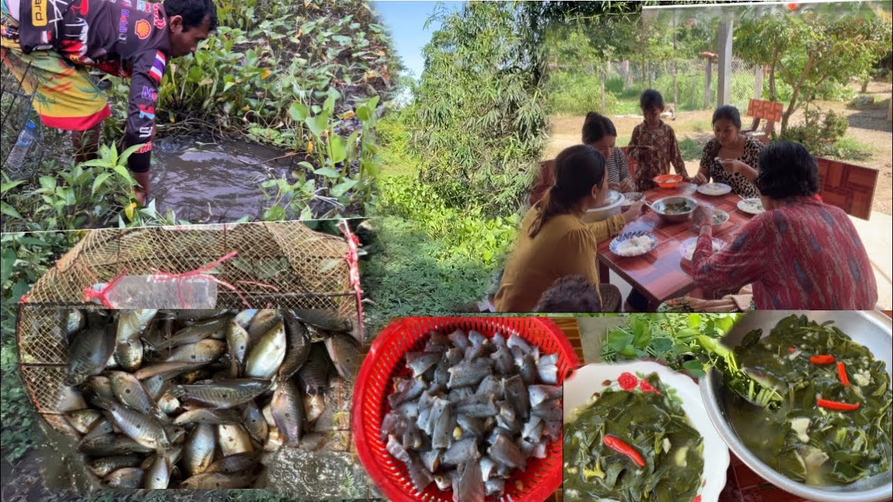 ប្អូនដាក់ឡើ ត្រីចូលបានច្រើន😍ម្ហូបមួយព្រឹកនេះមិនអស់លុយទេ ហើយបានញាំ ជុំម្ដាយ នឹងប្អូនៗផង👩‍❤️‍👩👫
