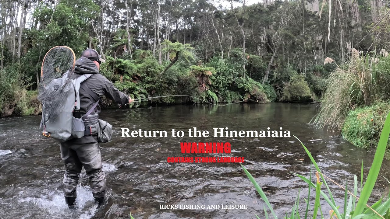 Return to the Hinemaiaia