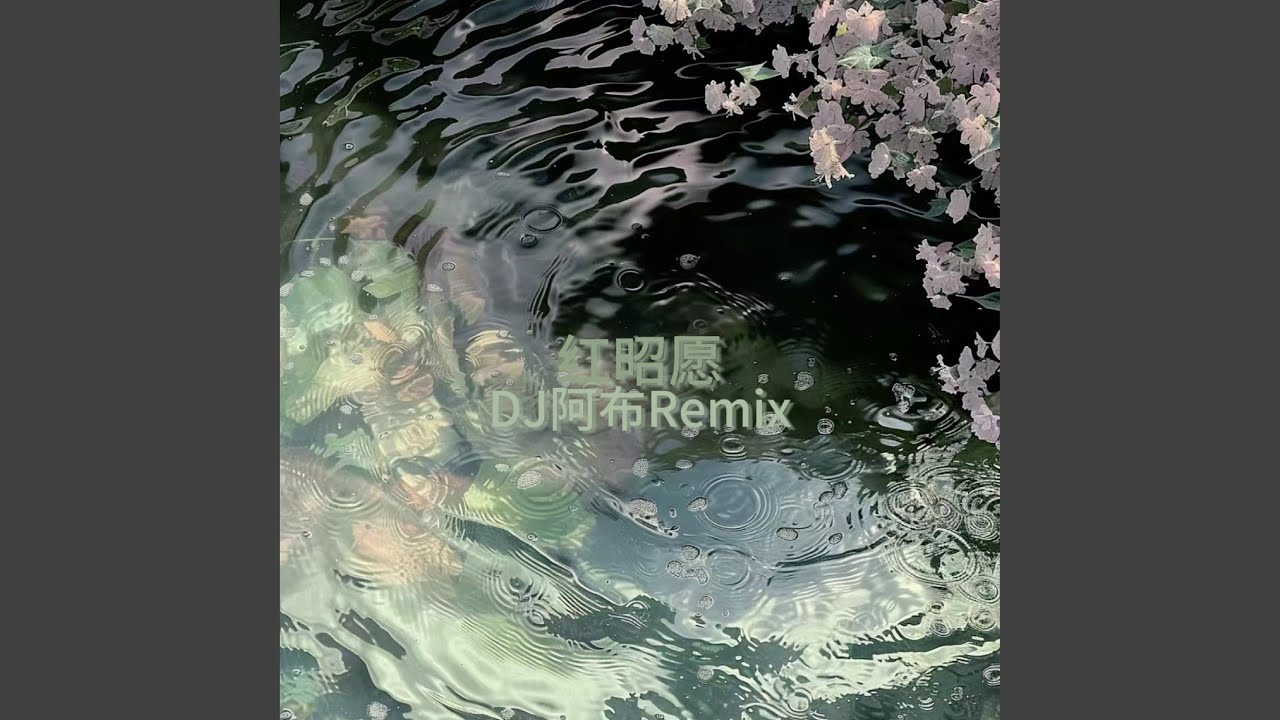 红昭愿 (摇摆DJ版)