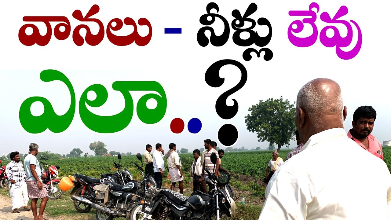 వానలు - నీళ్లు లేవు..!!! ఎలా ? || Ponnuswamy Organic Farming || Ponnus rythu seva kendram