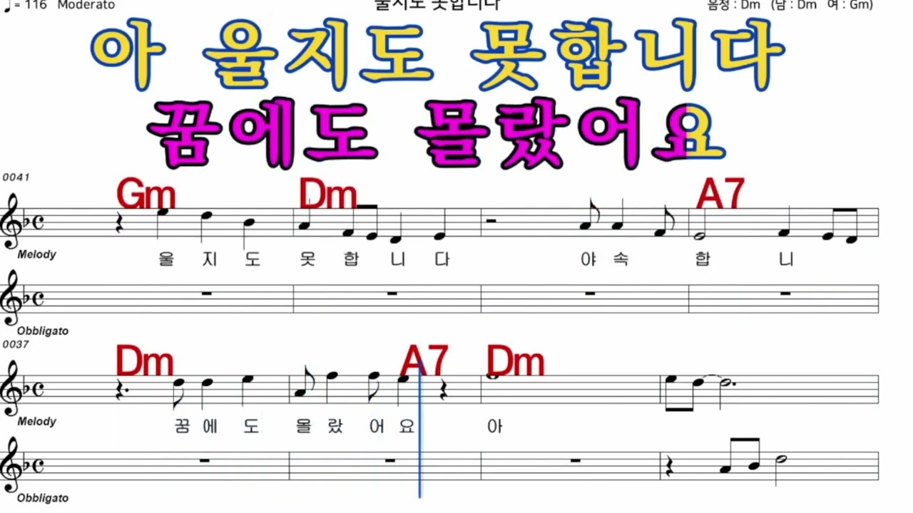 울지도못합니다   나훈아  iSMB 가수처럼 엠알로 노래 악보 남 원키 Dm