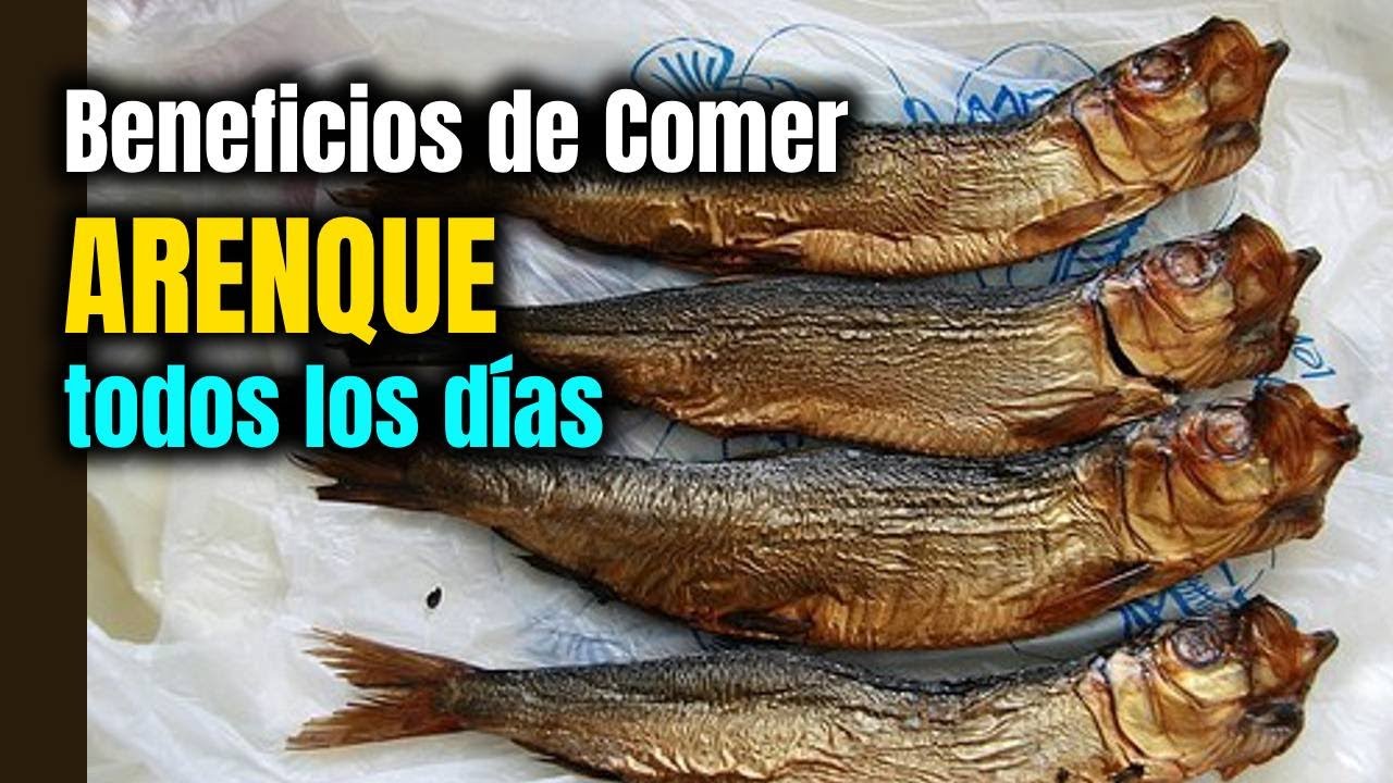 Beneficios de Comer ARENQUE todos los D&Iacute;AS
