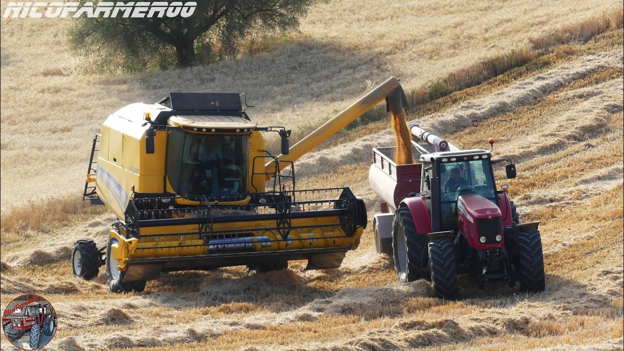 HARVEST SEASON 2K21 | NEW HOLLAND TC5.90 + MASSEY FERGUSON 7495 DYNA-VT | FARINELLI