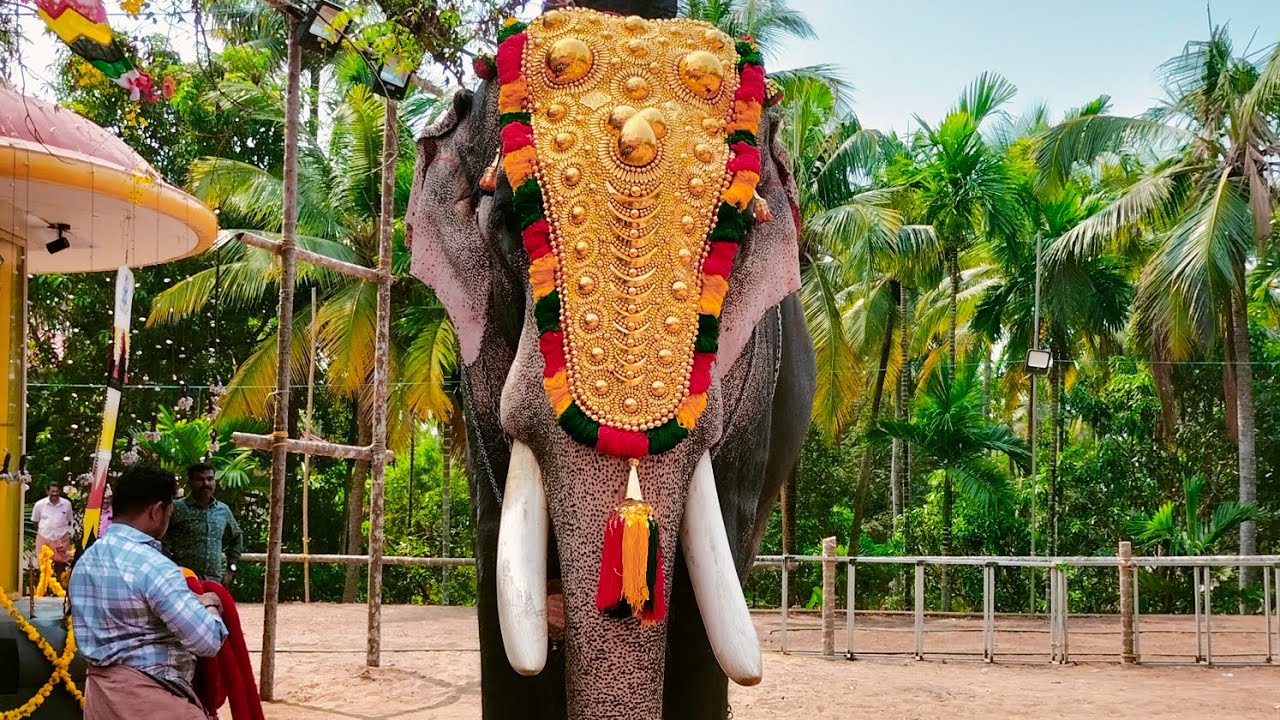 ആയിരംകണ്ണി പൂരം 2k25