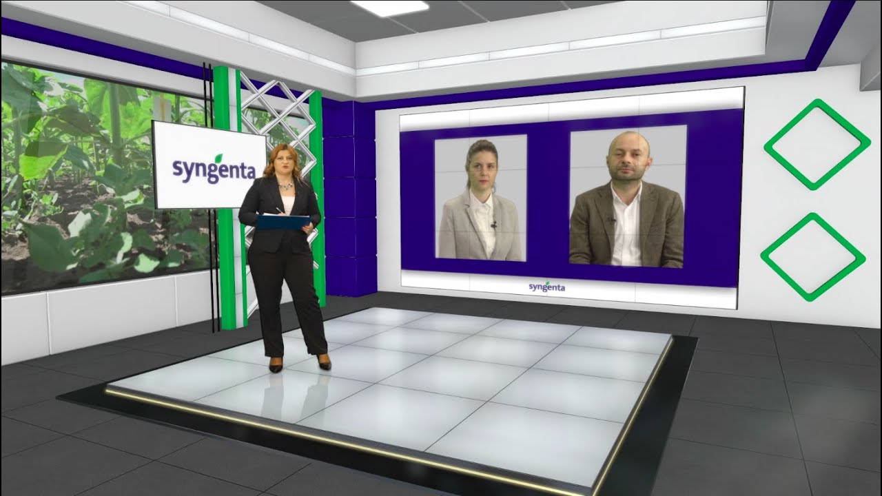 DIGITAL SYNGENTA: Sfaturi utile pentru cultura de floarea-soarelui