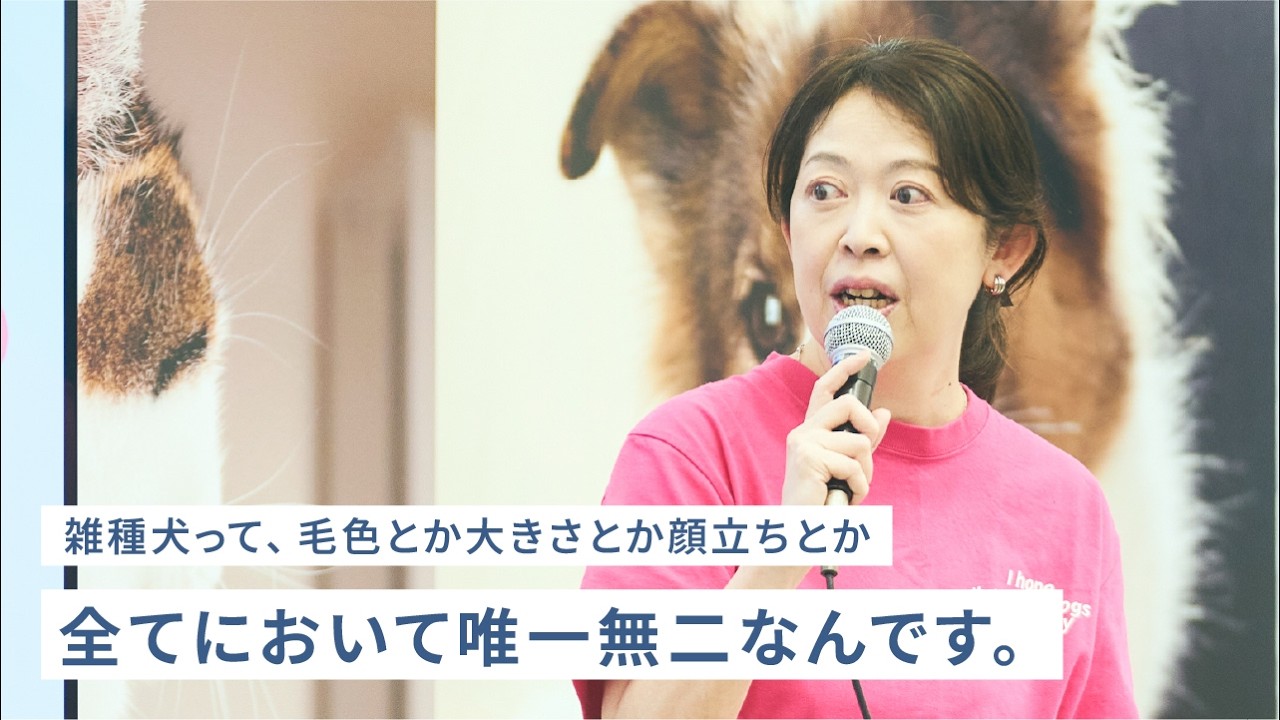 保護犬猫について学ぼう：雑種犬って難しい？！その魅力とお迎えのポイント【パナソニック公式】
