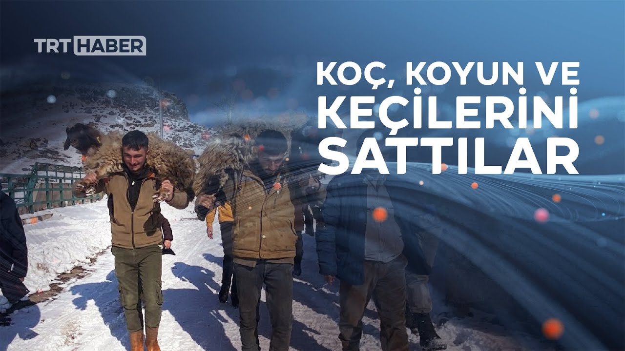 Hayvanlarını satıp depremzedelere bağışladılar