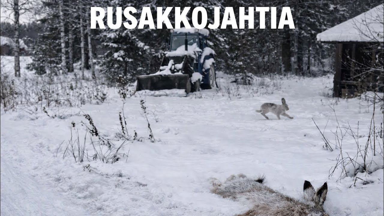 RUSAKKOJAHTIA 15.02.2026