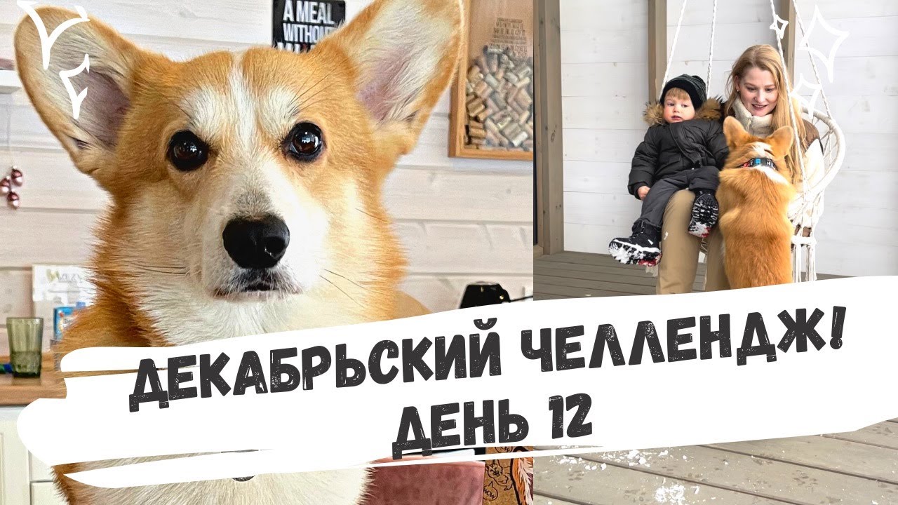Декабрьский челлендж: день 12! Крутой корги пазл. Провалили задание! Потеряли игрушку корги Бентли.