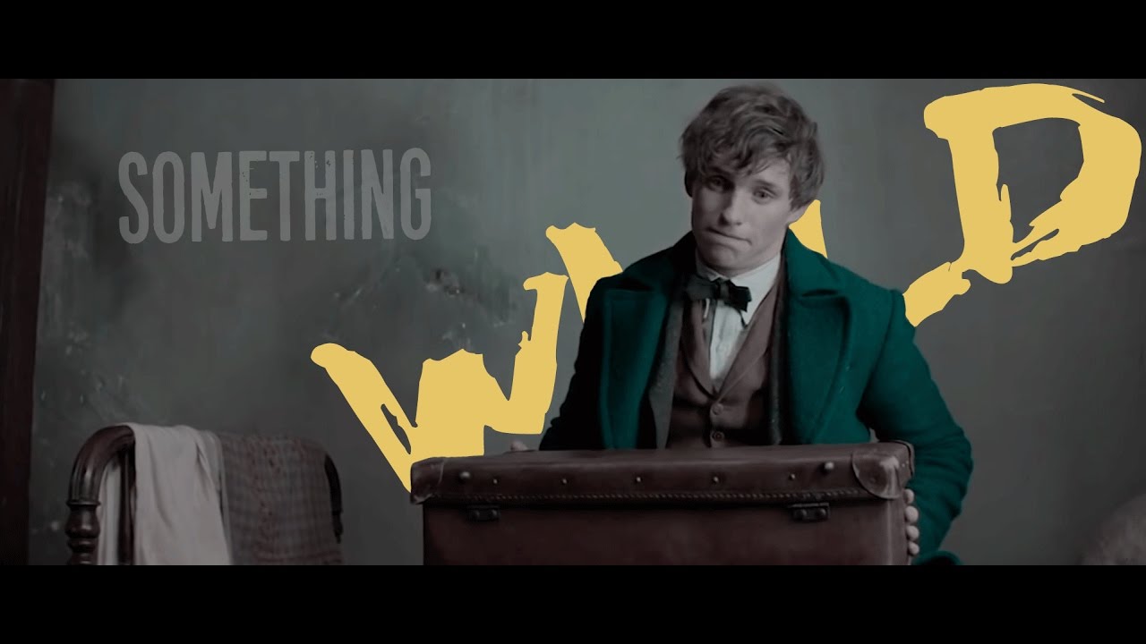 Something Wild || Newt Scamander