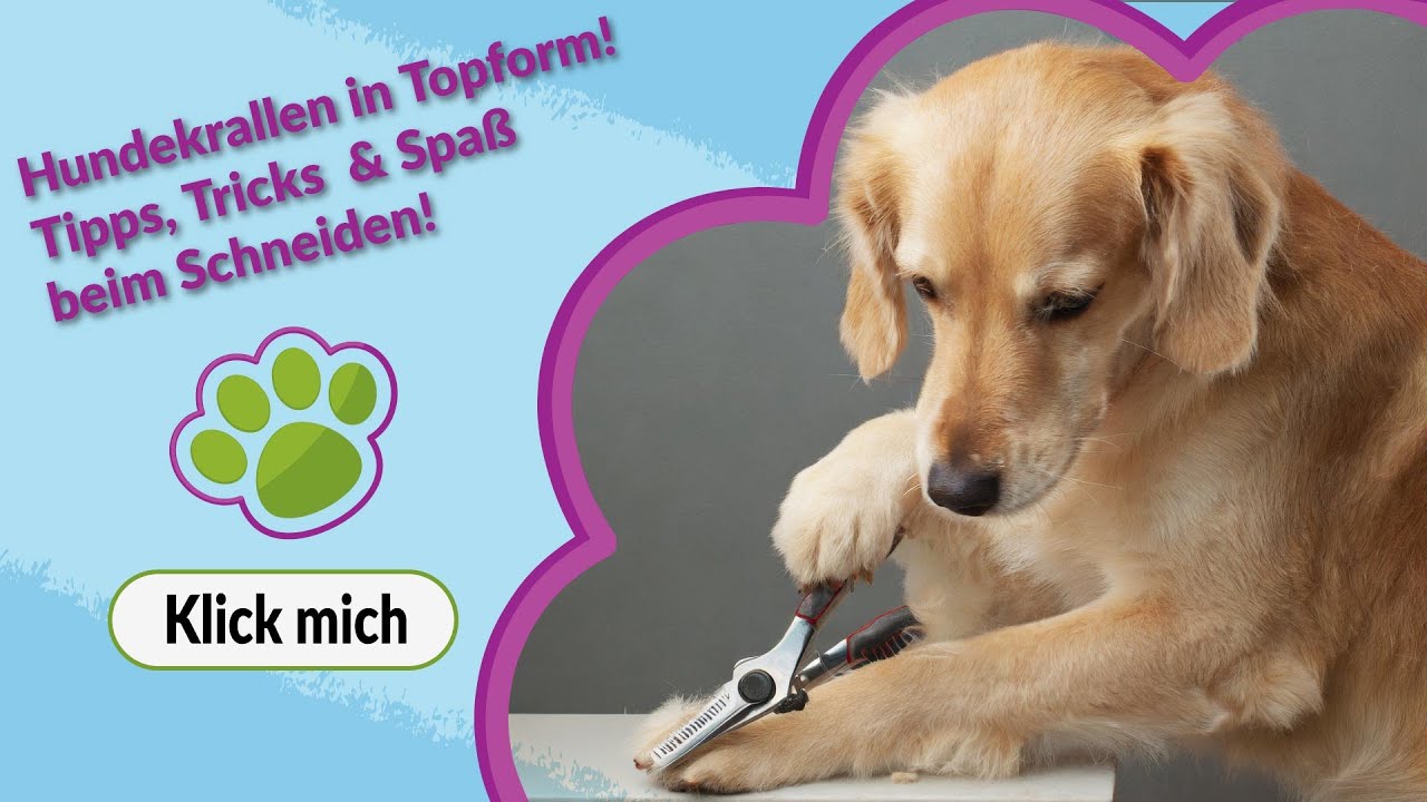 🐶💅 