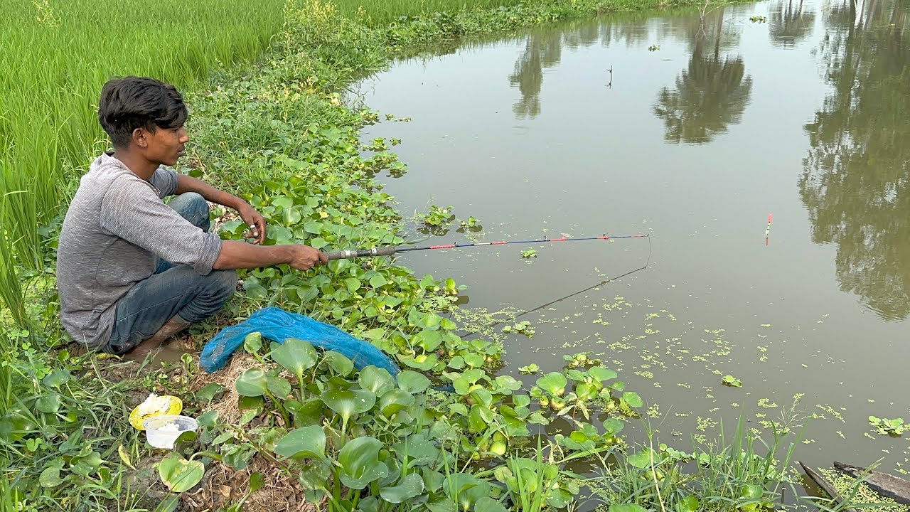 Hook Fishing Video ~ Traditional Hook Fishing 🎣🐟 Village Daily Life (Part-475)