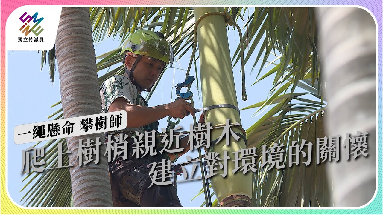 爬上樹梢親近樹木，建立對環境的關懷｜一繩懸命 攀樹師｜公視 #獨立特派員 第803集 20230531