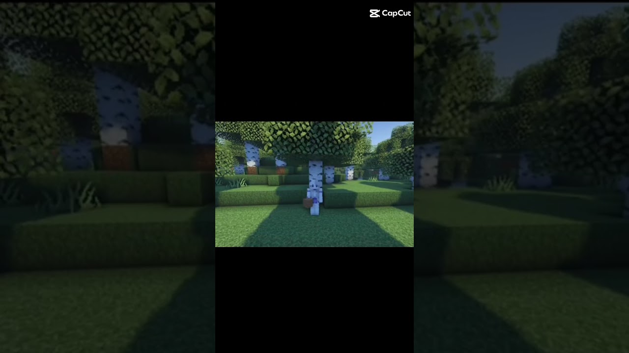 #minecraft#pepsheyyyn 💖