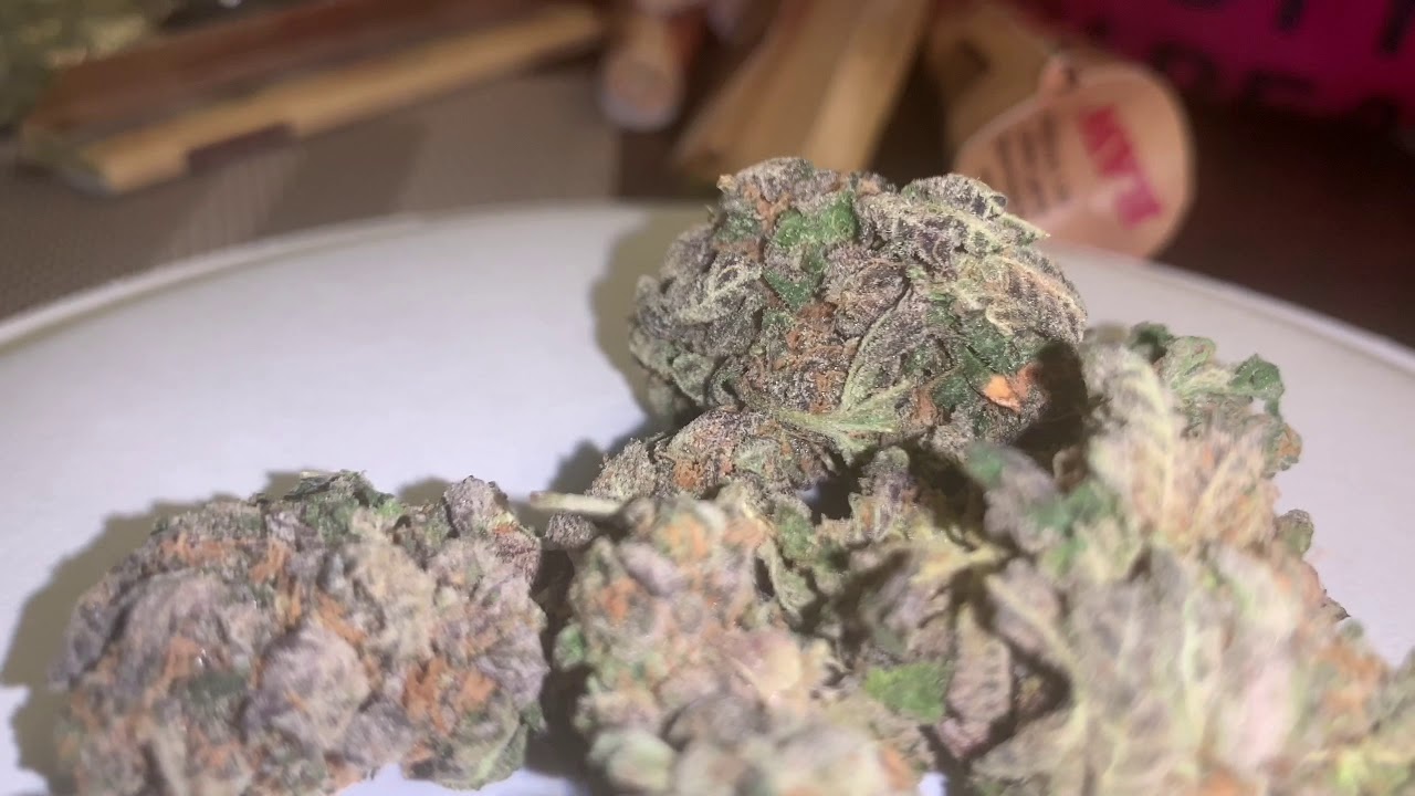 GELATO #33 (LARRY BIRD) OFFICIAL WEED STRAIN REVIEW
