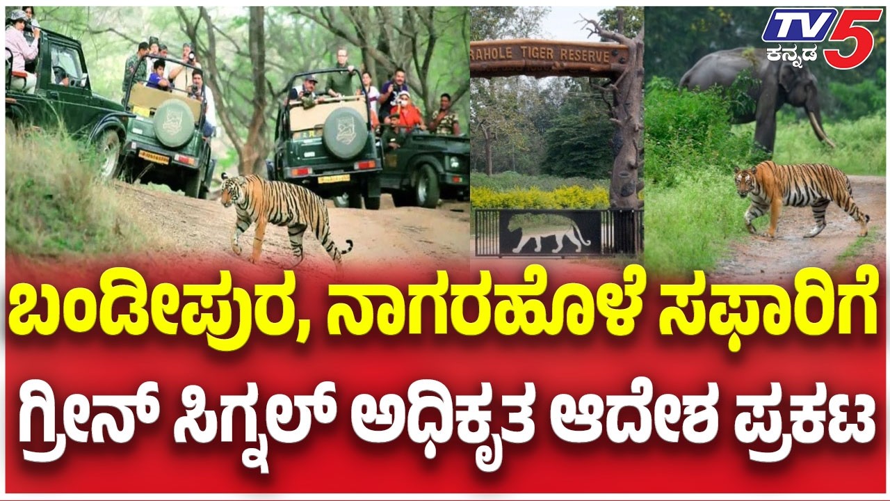 Safari Restart in Bandipur & Nagarahole: ಬಂಡೀಪುರ ನಾಗರಹೊಳೆ ಸಫಾರಿಗೆ ಗ್ರೀನ್ ಸಿಗ್ನಲ್ ಅಧಿಕೃತ ಆದೇಶ ಪ್ರಕಟ