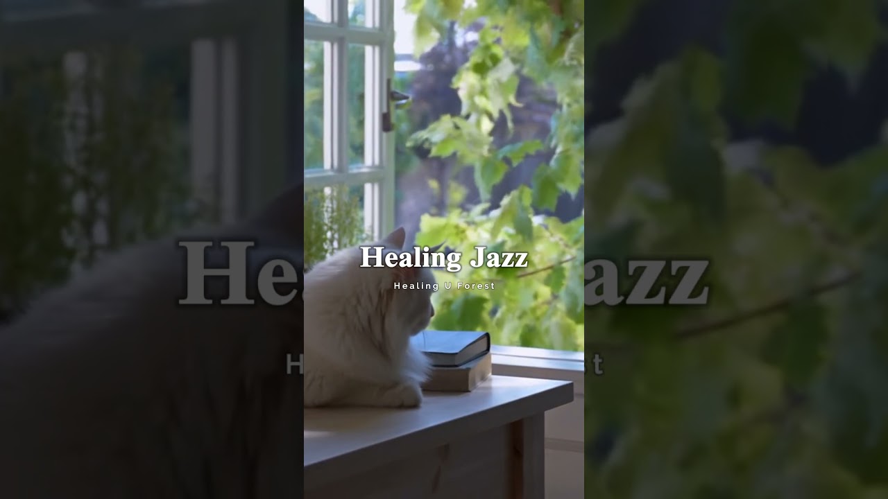 Peaceful Summer Jazz for Work, Study & Relaxation | 힐링 재즈 피아노 카페