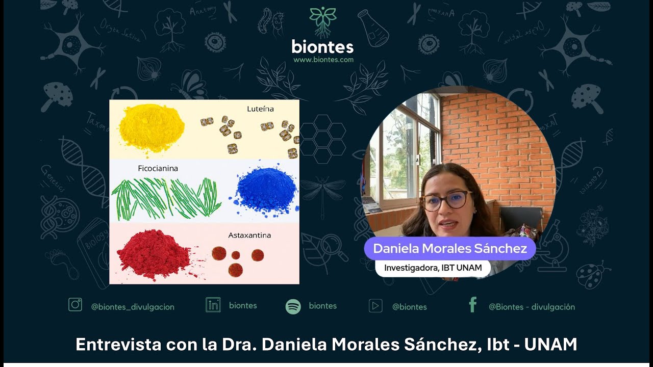 Biontes podcast: Microalgas para colorear el planeta | Entrevista a la Dra. Daniela Morales
