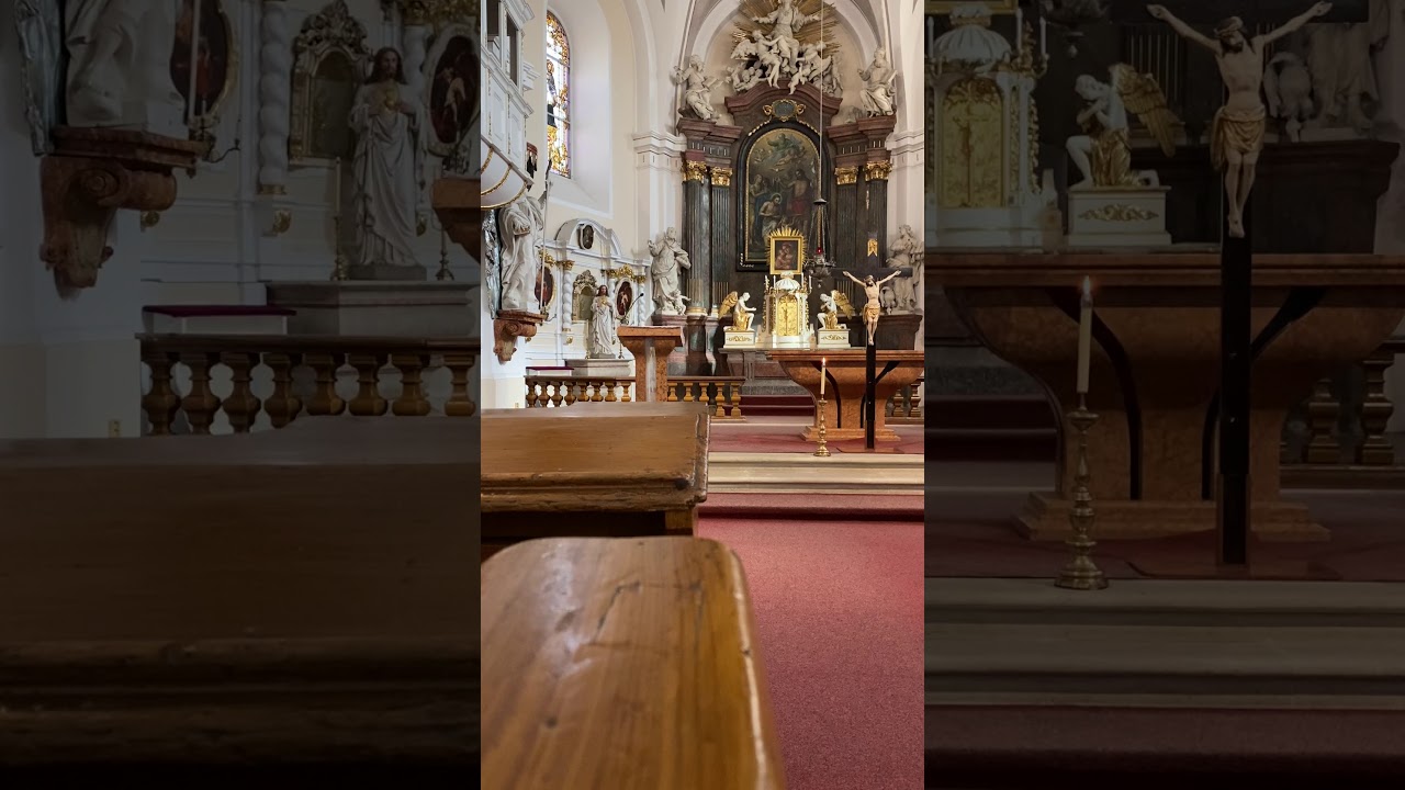 Žalm, Výtky Spasitelovy - část scholy Gaudete Bzenec - z karantény :)