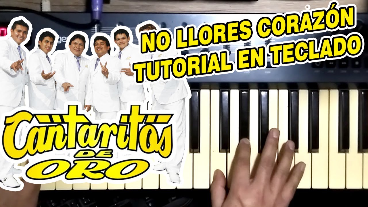NO LLORES CORAZON - CANTARITOS DE ORO (TUTORIAL EN TECLADO)