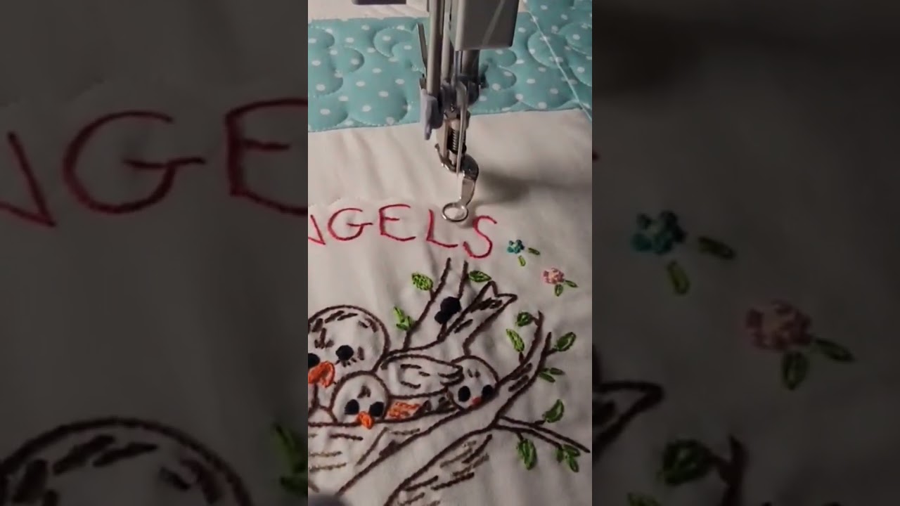 Echo Quilting, See full video on my YouTube channel #quiltcoachchick