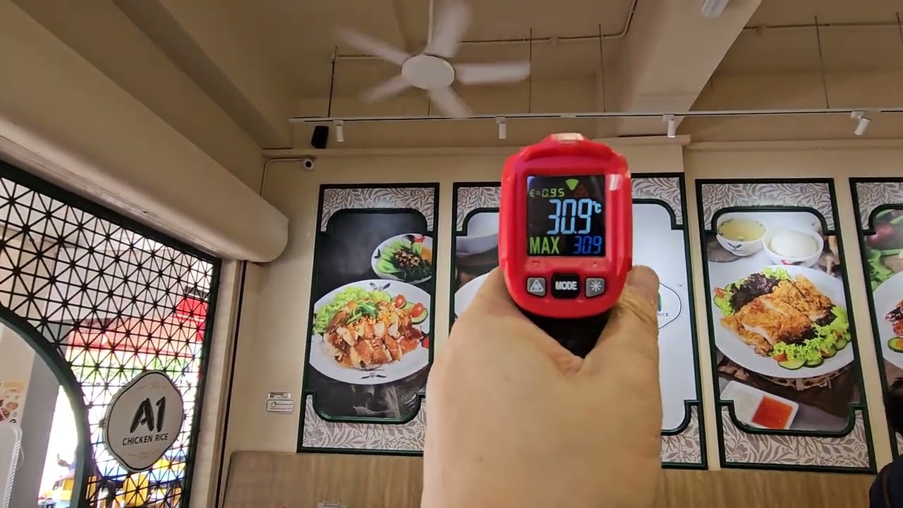 A1 Chicken Rice A1.1
