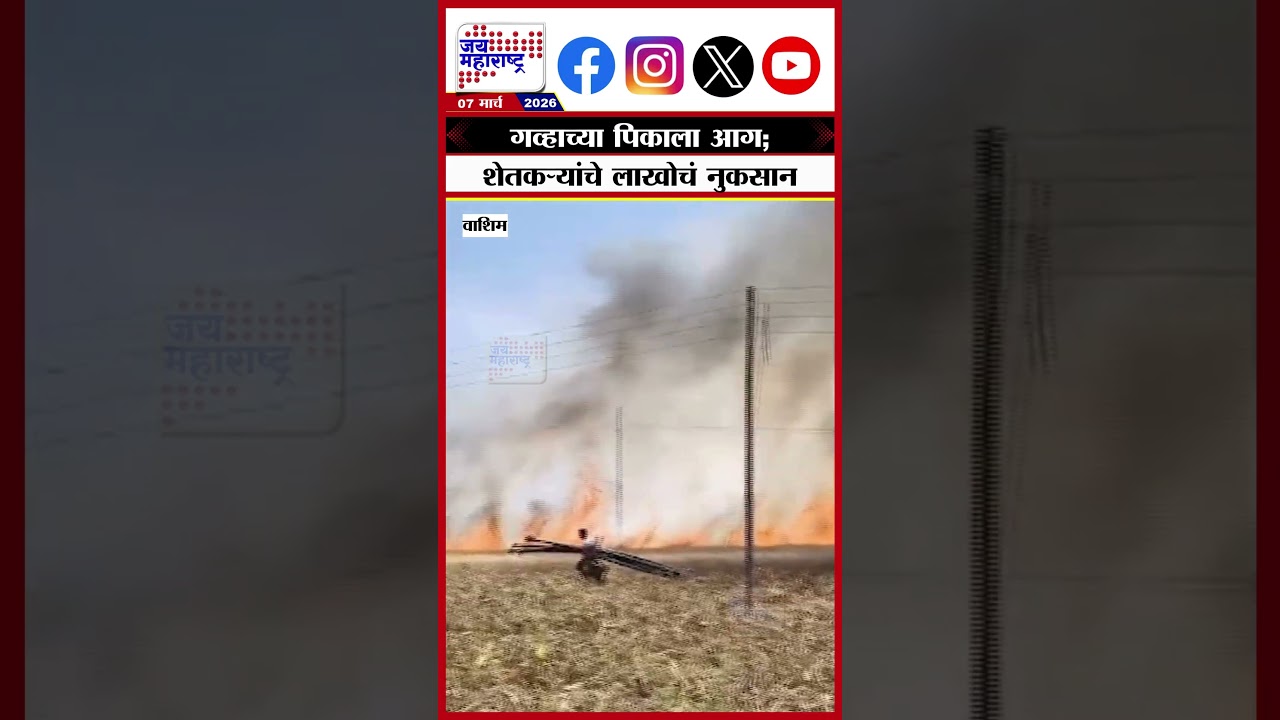 Washim Farm Fire : गव्हाच्या पिकाला आग; शेतकऱ्यांचे लाखोचं नुकसान