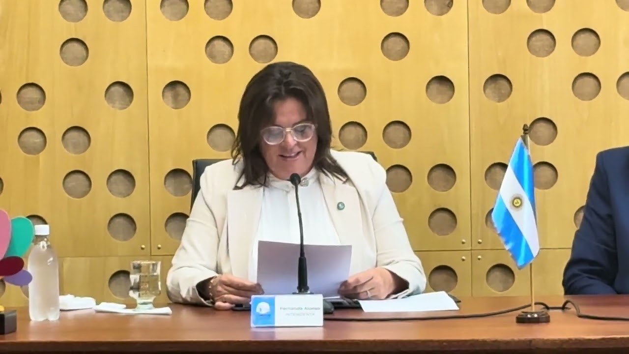 Alonso anunció la colocación de otras 400 columnas LED se superará las 130 nuevas cuadras iluminadas