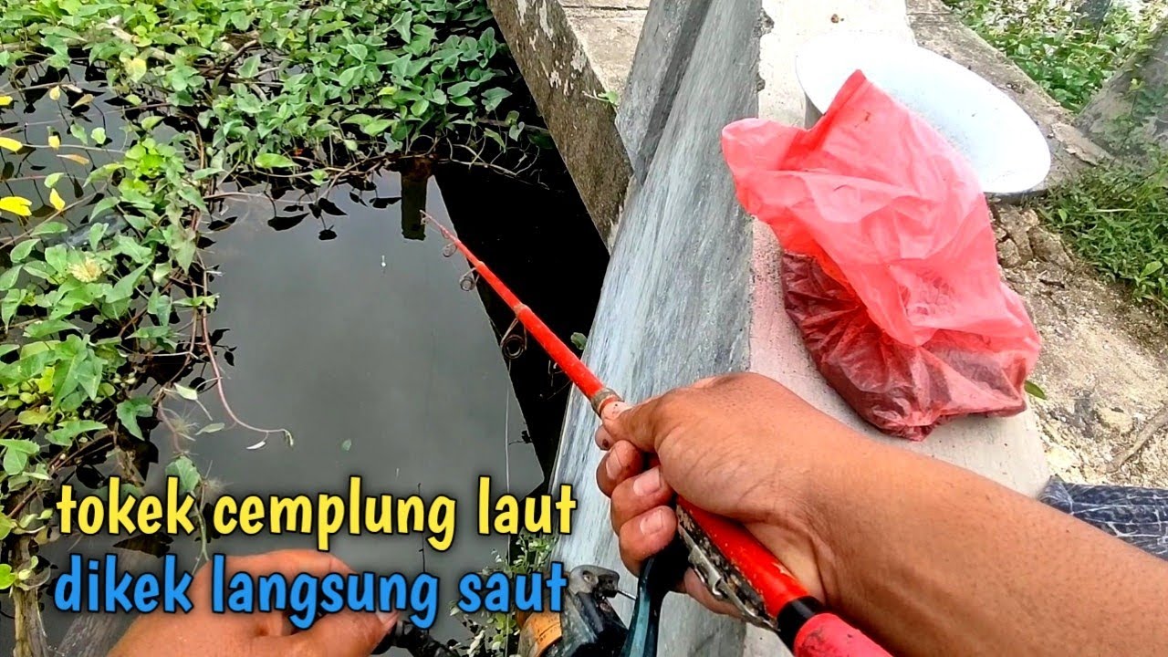 Awalnya ragu pakai ini tapi ternyata benar benar jahat