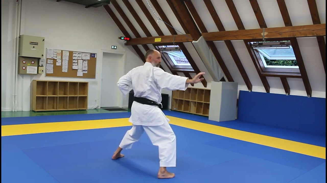 TAI-JITSU NO NIJUSHIHO VERSION PROFILEE