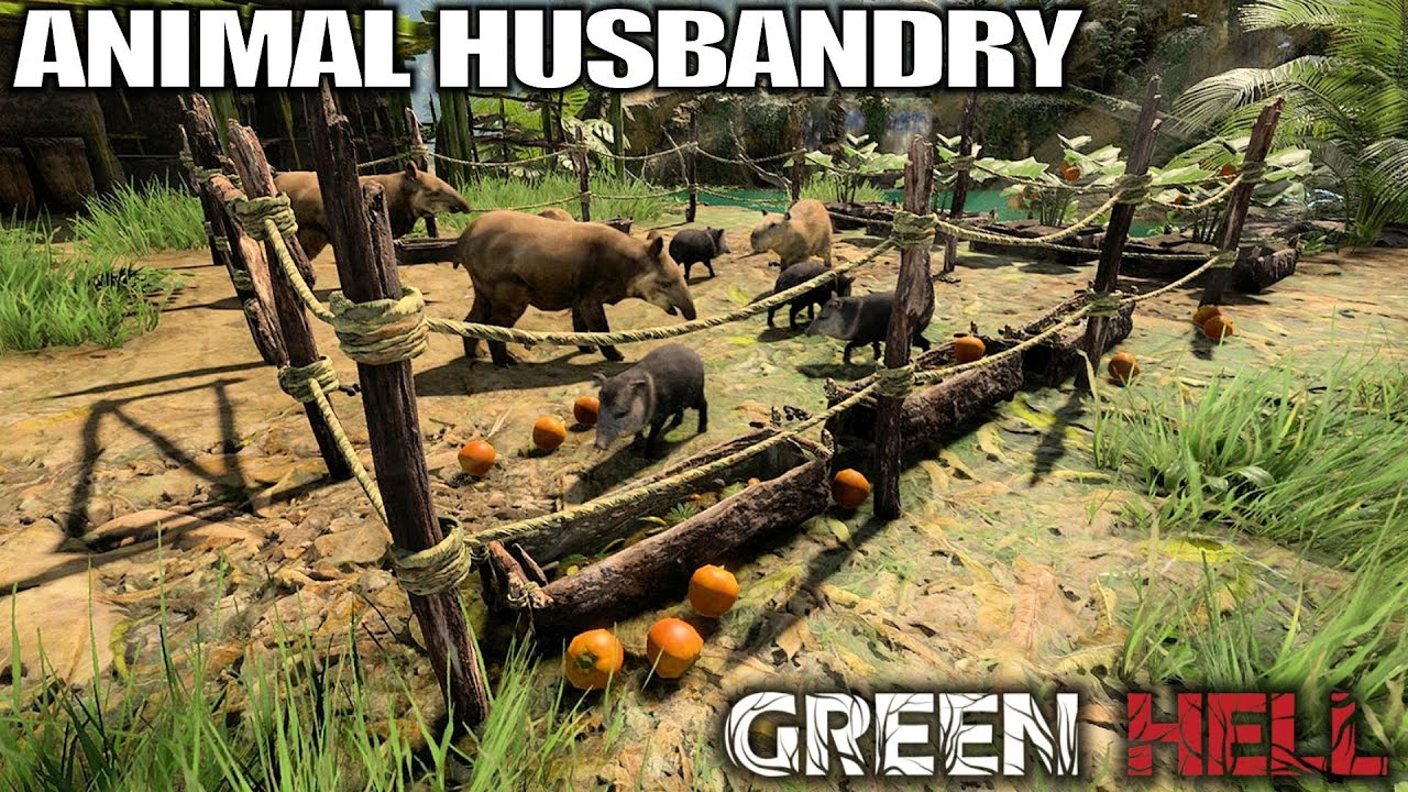 Catching & Raising Animals | Green Hell Building Update Gameplay | Part 6