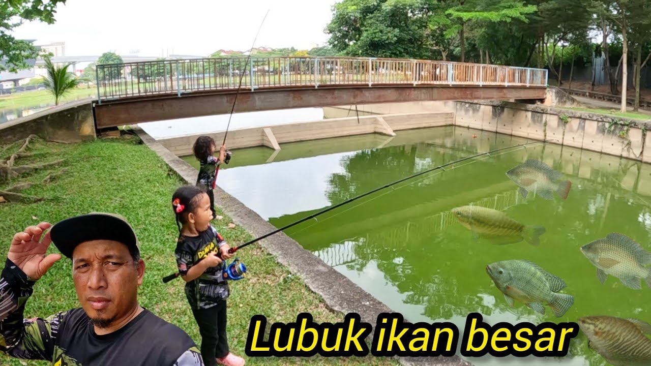 Pancing Jaring Di Tasik Lubuk Tilapia Besar #gengdunia