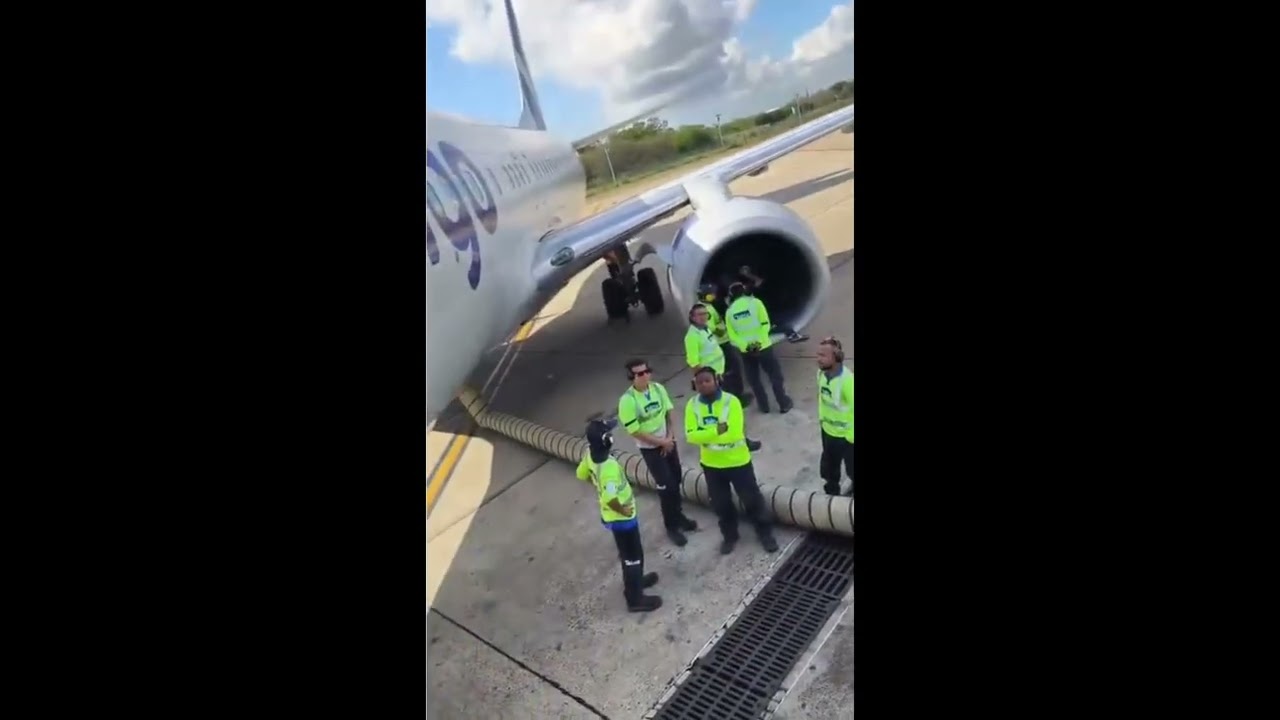 Wingo flight 7206 Bird Strike footage