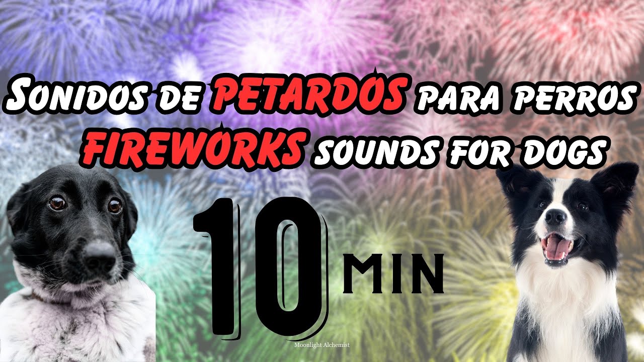 10 MIN | Sonidos de petardos para perros | Fireworks sounds for dogs