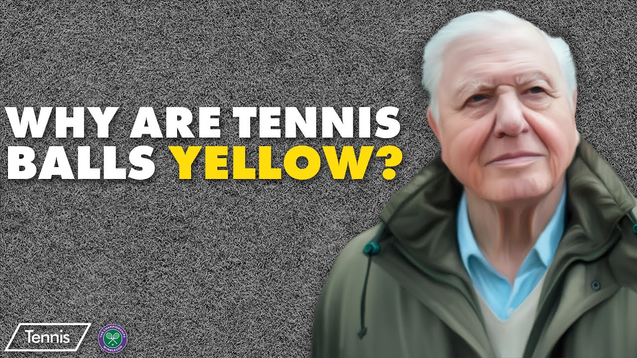 Why Are Tennis Balls Yellow?