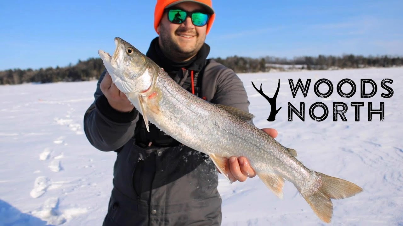 Ice Fishing for Lake Trout (Jigging)