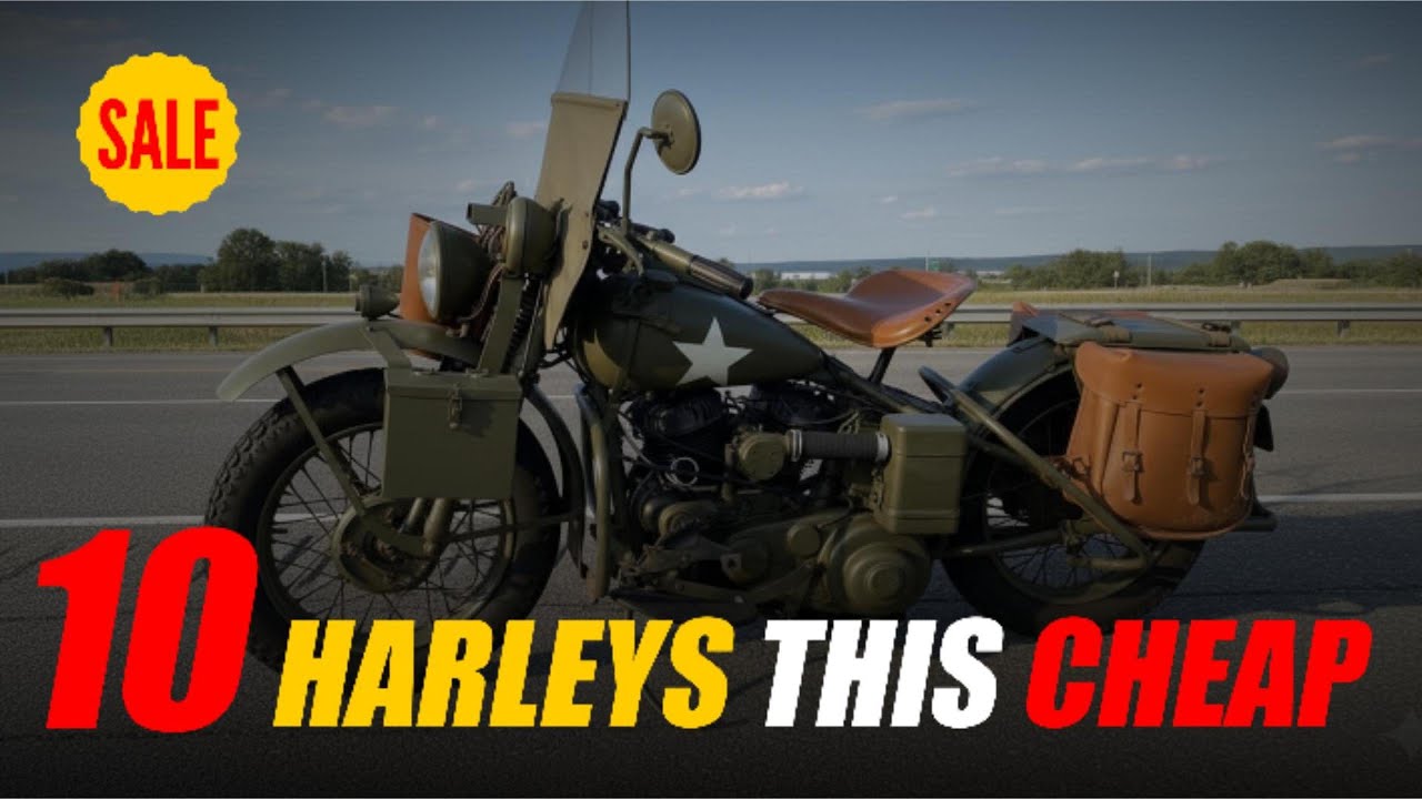 10 мотоциклов Harley-Davidson по такой цене уже давно пора продать.