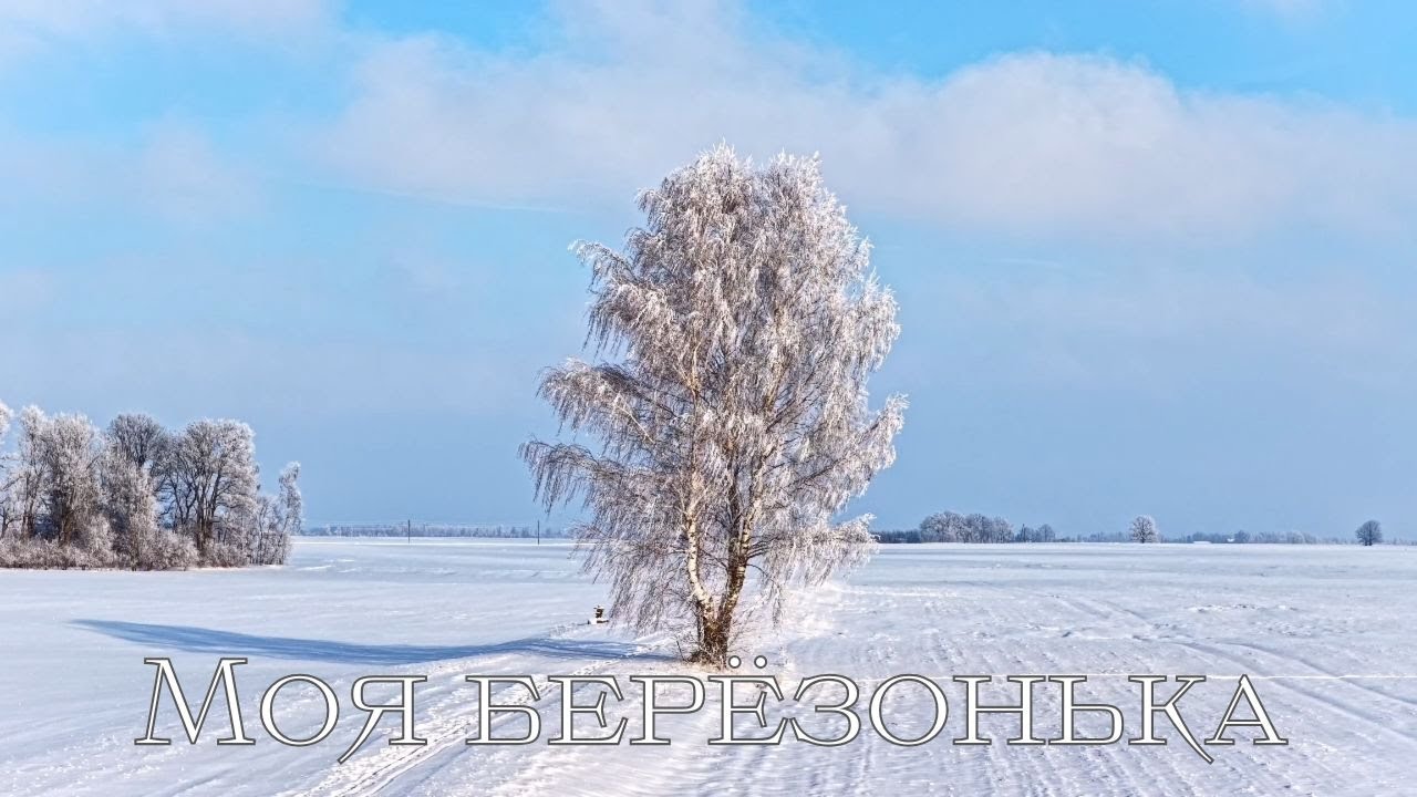 Дыхание Казбека - Моя берёзонька (Official Music Video) #фолкмузыка #русскаянародная #музыкаоприроде