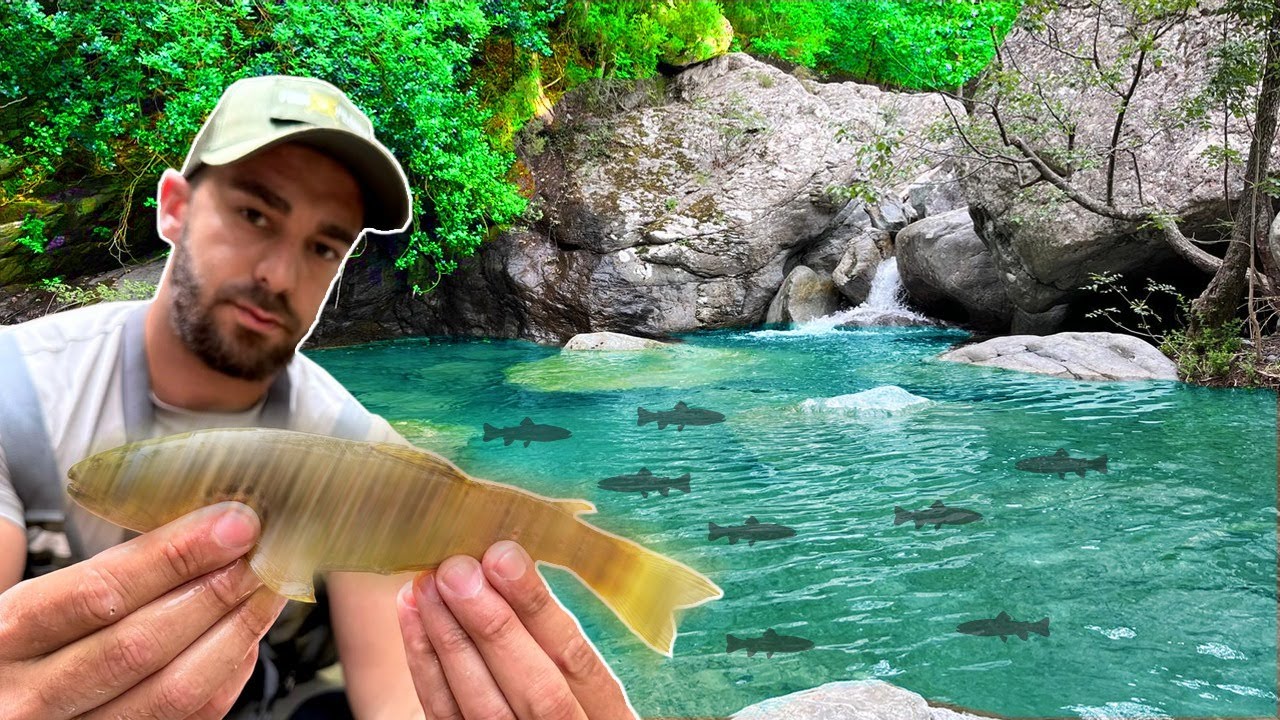On PÊCHE la TRUITE FARIO dans une EAU LIMPIDE !!!