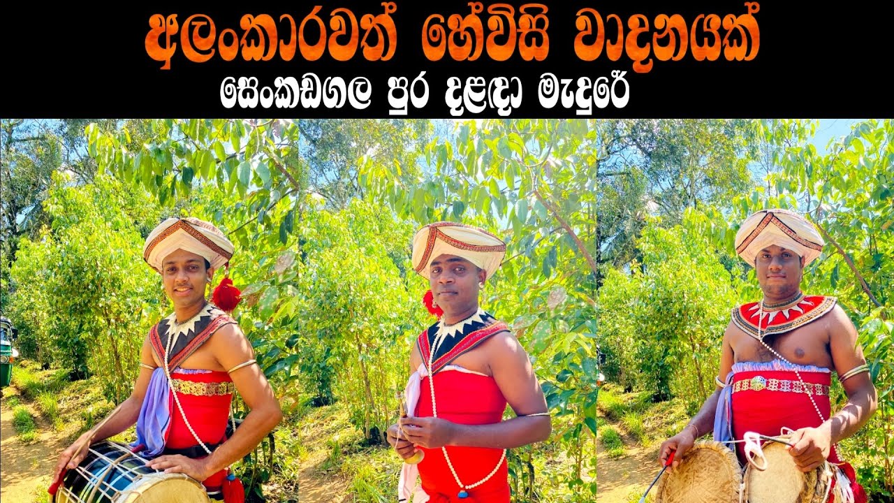 මේ දවස් වල ගොඩාක් ජනප්‍රිය අලංකාර හේවිසි වාදනයක් || Hewisi || @Panchathurya