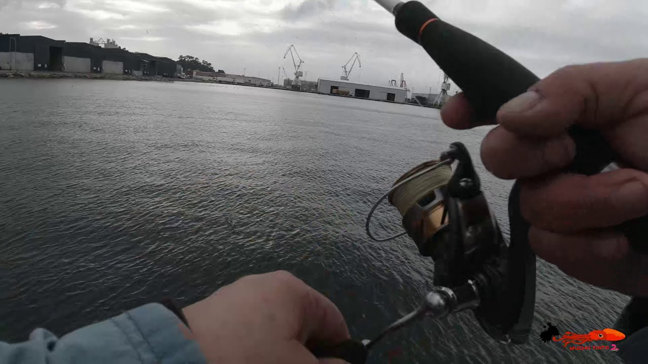 PESCANDO SEPIAS🐙 Y RESCATANDO  CON EL SALVAPOTERAS