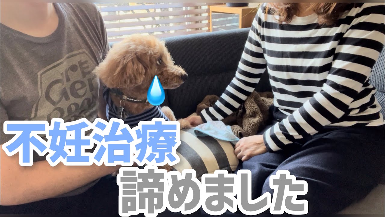 【子なし人生】を決めた話。涙あり。５年経ち夫婦で語りました！