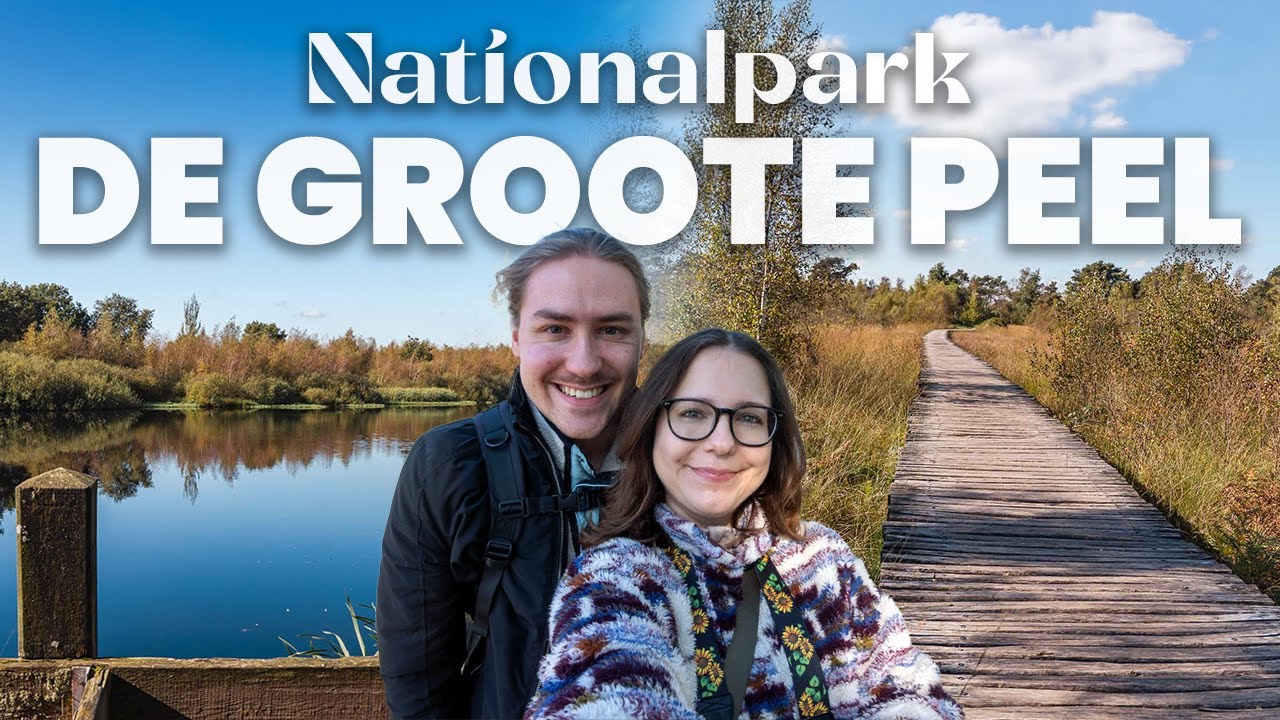 DE GROOTE PEEL - Wandern & V&ouml;gel beobachten im niederl&auml;ndischen Nationalpark bei Limburg & Brabant