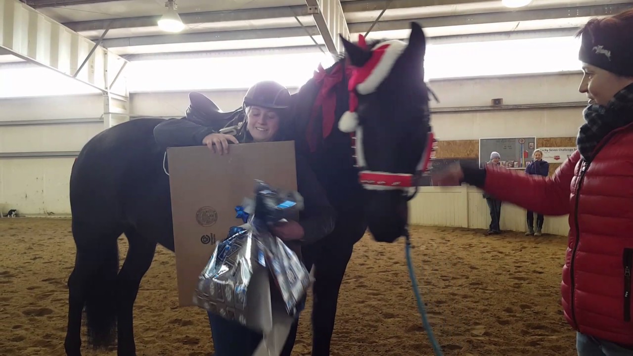 Kara Christmas Horse 2016!!
