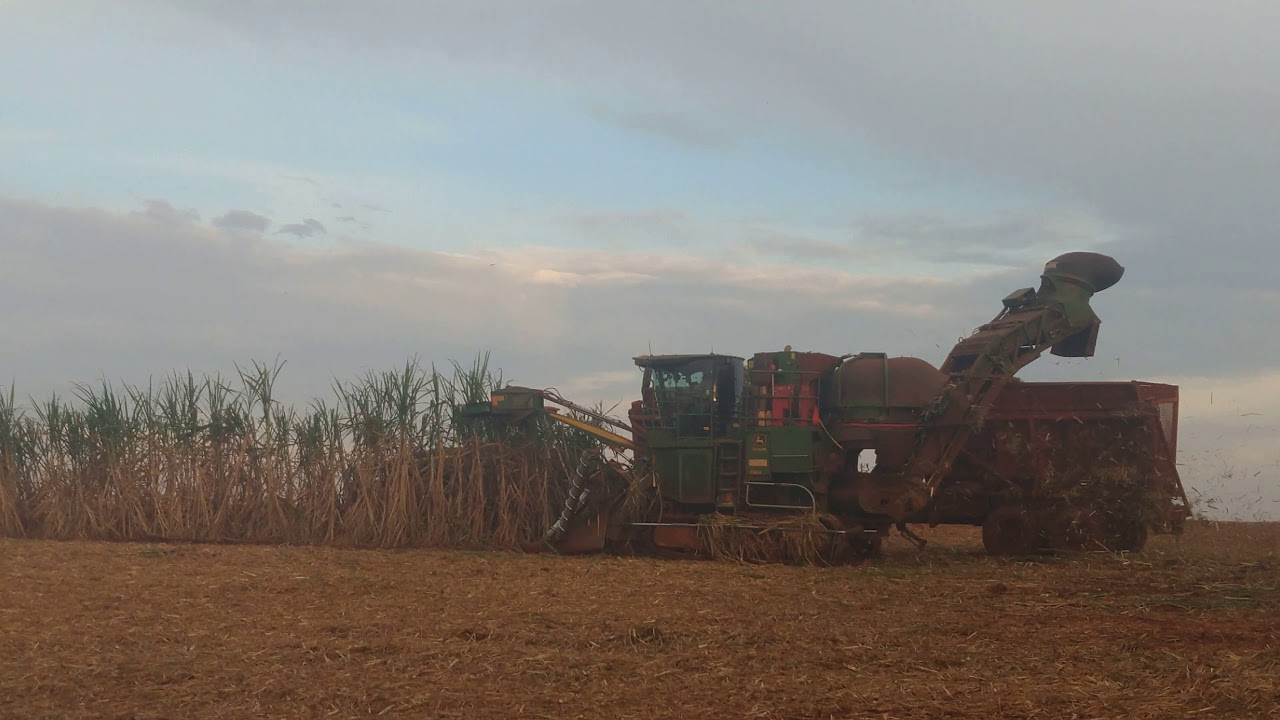 colheita  mecanizada de  cana-de a&ccedil;&uacute;car usina santa Terezinha