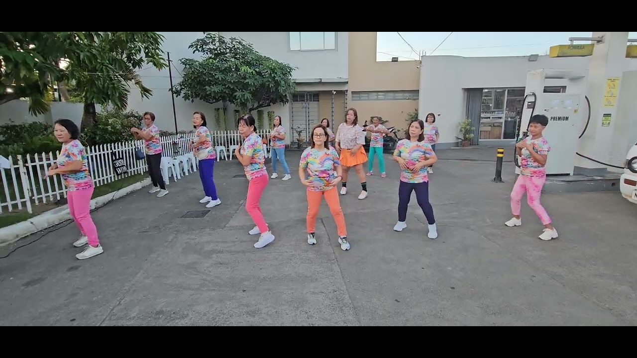 Malasin zumba ladies
