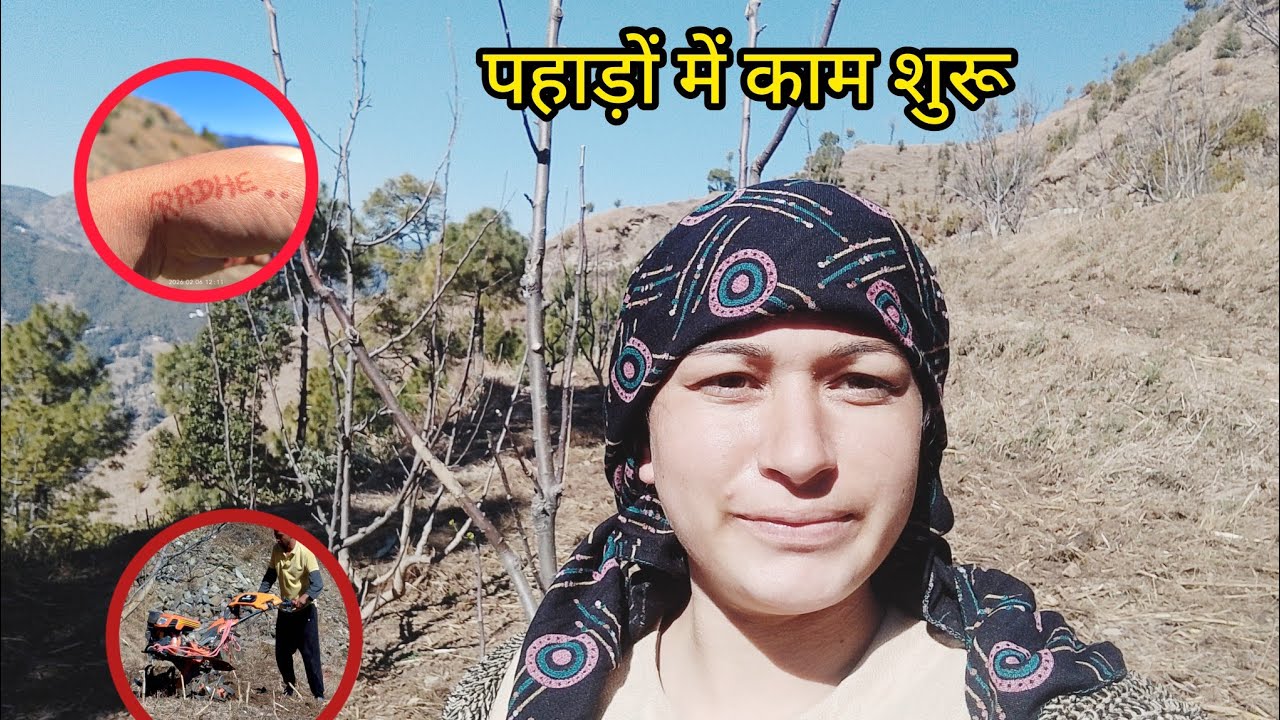 पहाड़ों में मटर की बिजाई का काम शुरु हो चुका है🌾🌾🌾🌾🌾🌾🌾🌾🌾🌾🌾🌾
