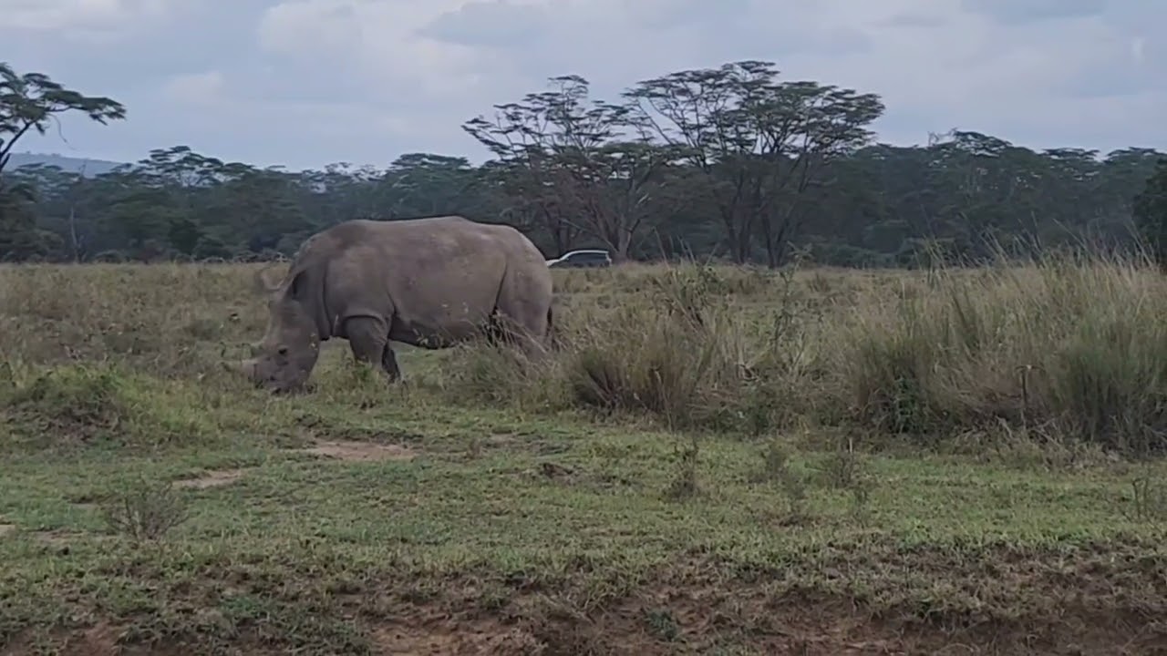 Lake Nakuru National Park