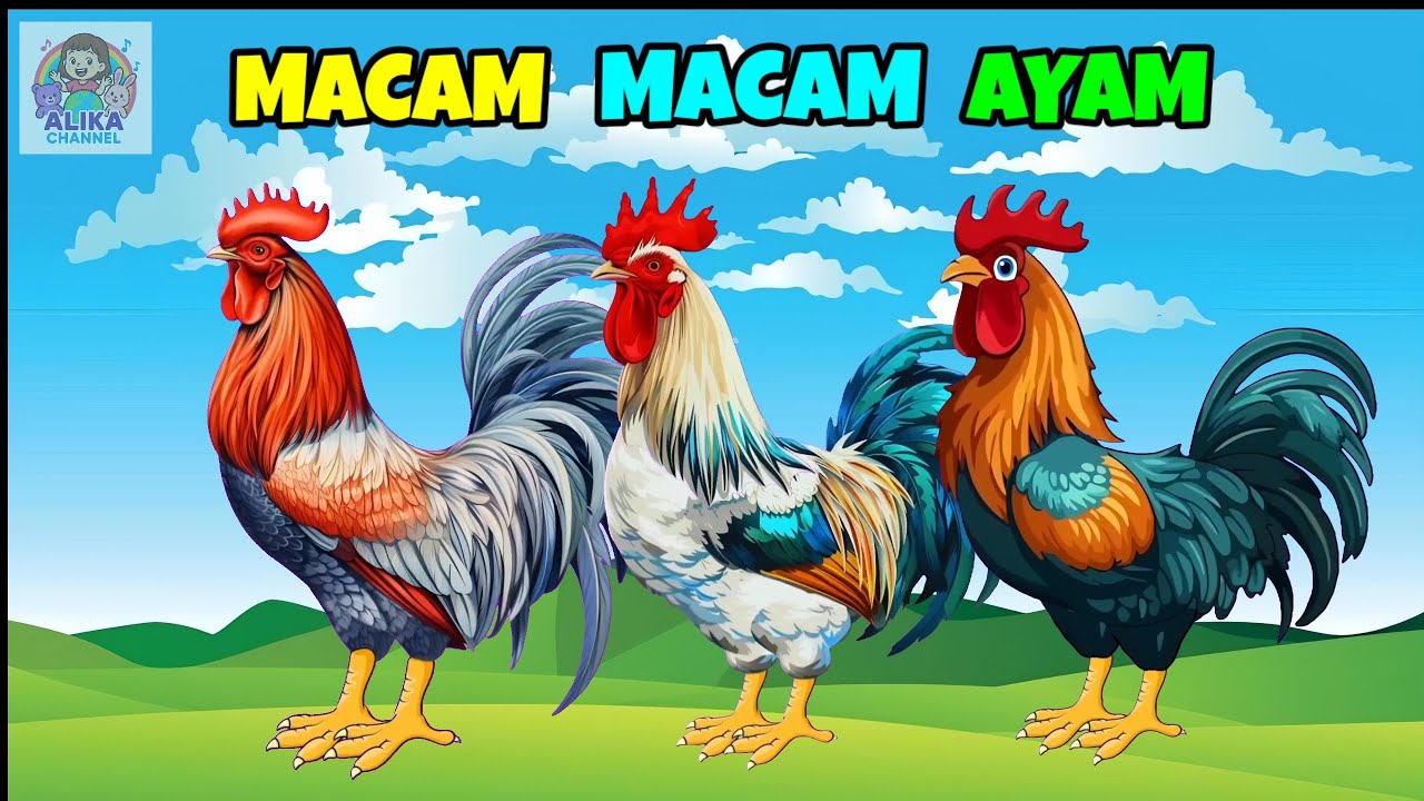 Lagu MACAM MACAM AYAM 🐓 - Lagu Anak 🇮🇩 - Lagu Edukasi Anak Mengenal Nama Nama Ayam - Animasi Ayam 